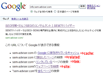 Googleのinfoコマンドで表示される結果