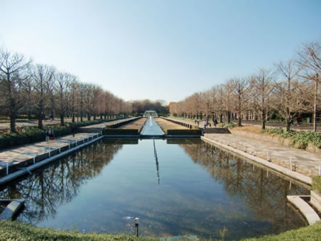 昭和記念公園