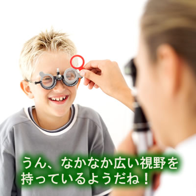 広い視野