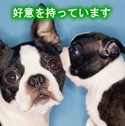 好意があれば人は応える