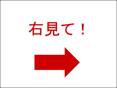 右見て!